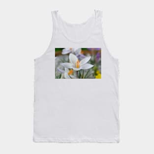 Crocus biflorus subsp. weldenii  'Fairy' Tank Top